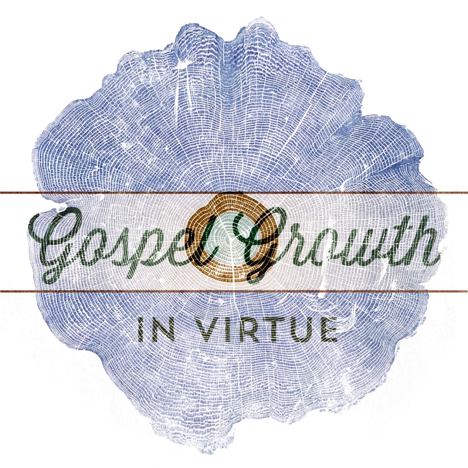 Gospel Growth: In Virtue