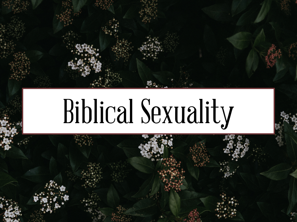 Biblical Sexuality Gospel Grace Church Gospel Grace Church In Salt Lake City Ut 